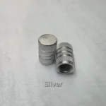 Chrome Plated Stem Caps – Silver